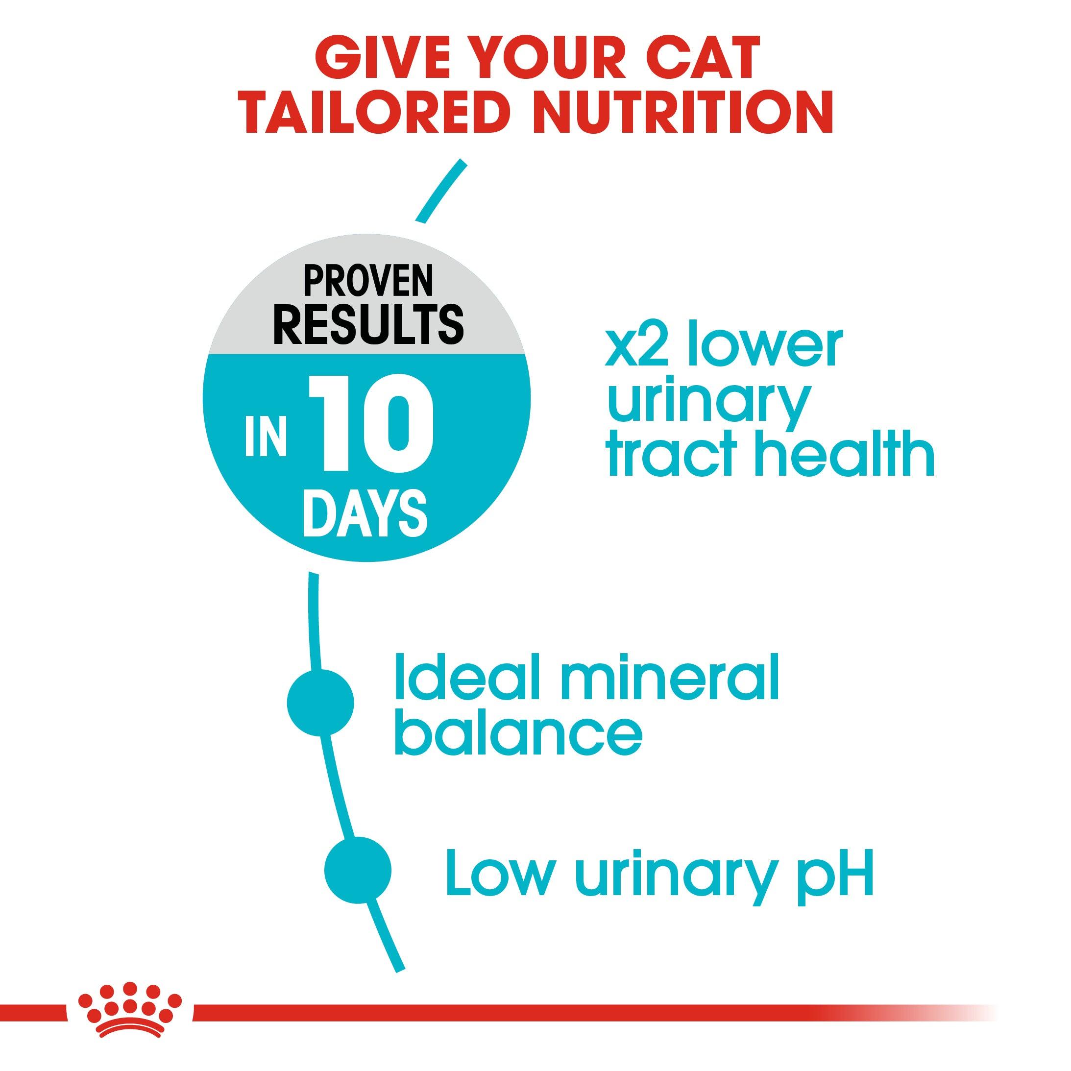 Royal Canin Adult Urinary Care Dry Cat Food