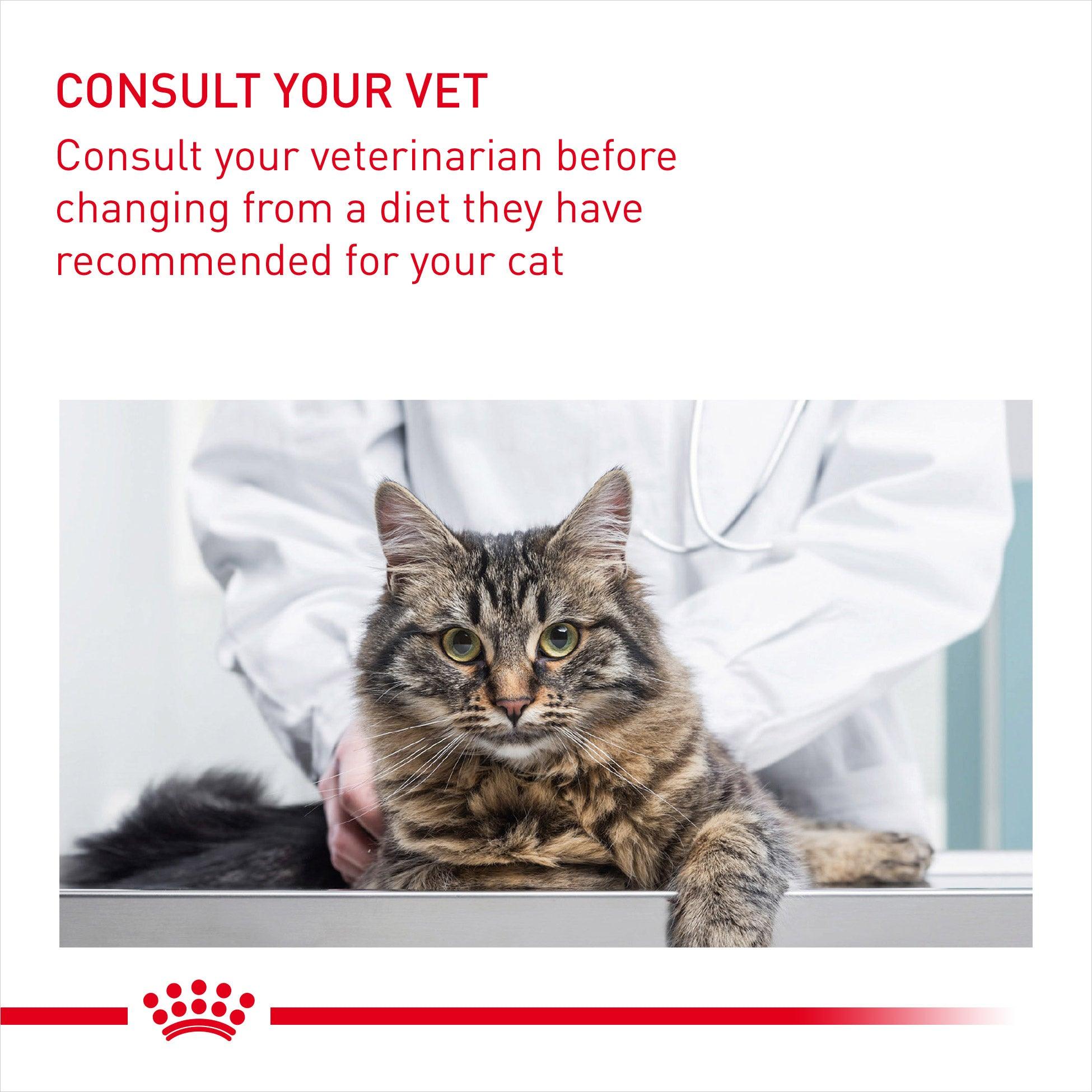 Royal Canin Adult Urinary Care Dry Cat Food