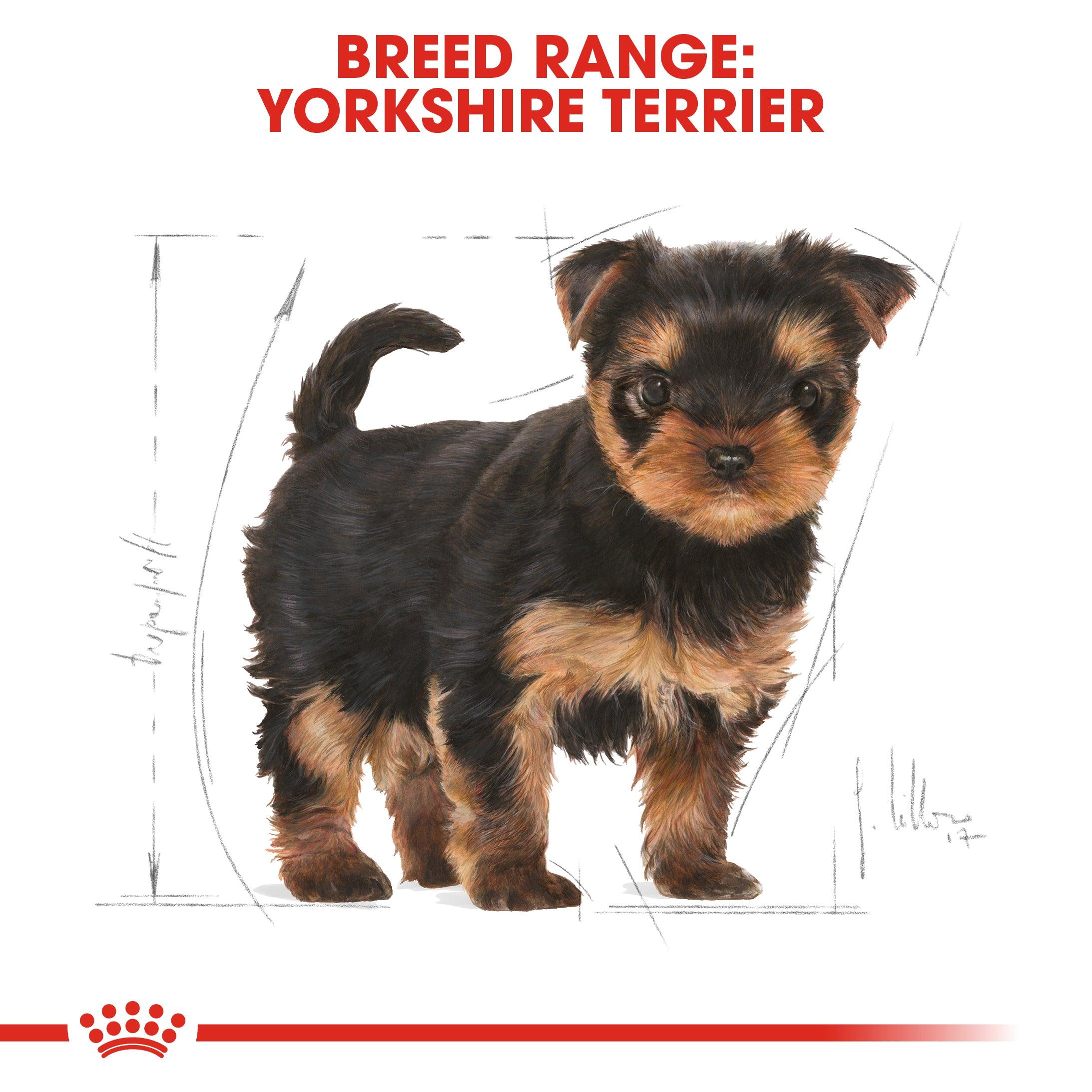 Royal Canin Puppy Yorkshire Terrier Dry Dog Food 1.5kg