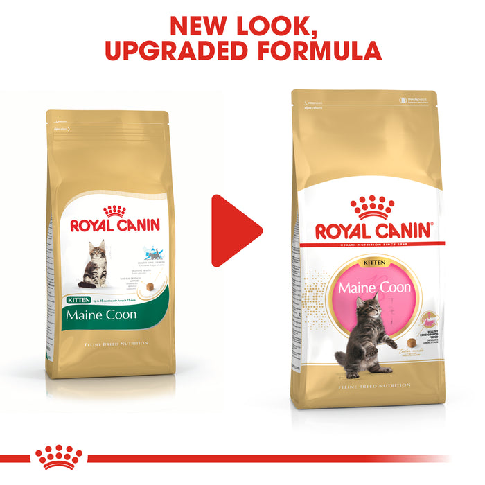 [Clearance Sale] Royal Canin Kitten Maine Coon Dry Cat Food 10kg