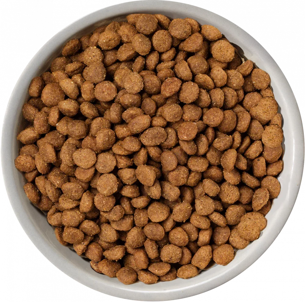 Nature's Variety Selected Norwegian Salmon Mini Adult Dry Dog Food 1.5kg