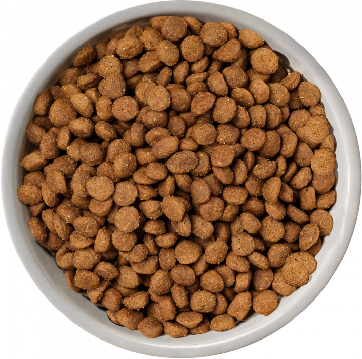 Nature's Variety Selected Norwegian Salmon Mini Adult Dry Dog Food 1.5kg