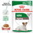 Royal Canin Senior Mini Ageing 12+ Wet Dog Food