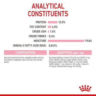 Royal Canin Kitten Chunks In Jelly Cat Wet Food